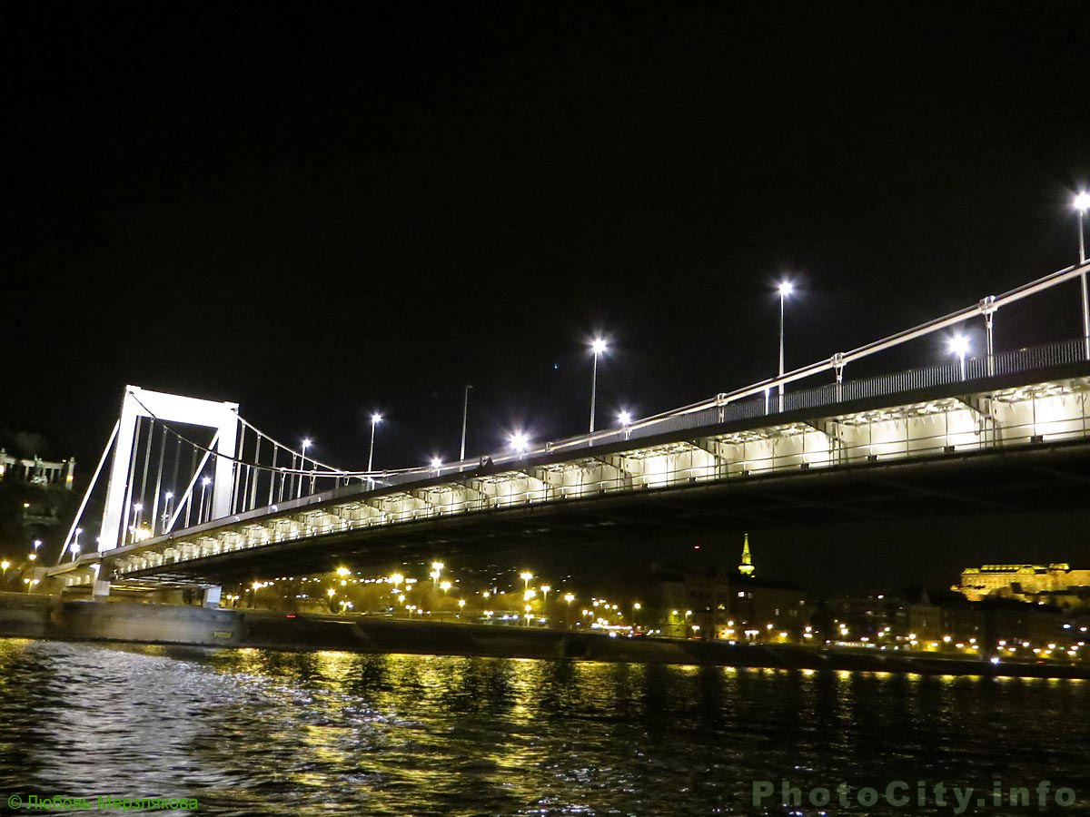 Мост Элизабет в Будапеште