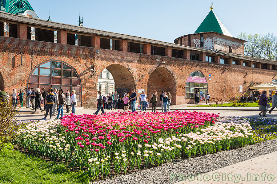 Пороховая башня и стена  Нижегородского кремля